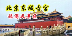 强奸欧美丰满少妇10P中国北京-东城古宫旅游风景区